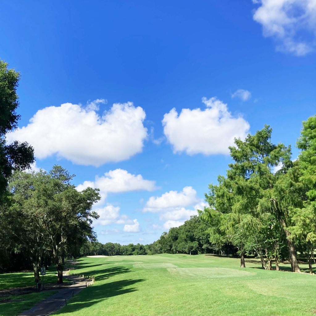 View of golf course green