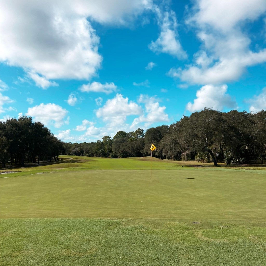 Golf course green with trees